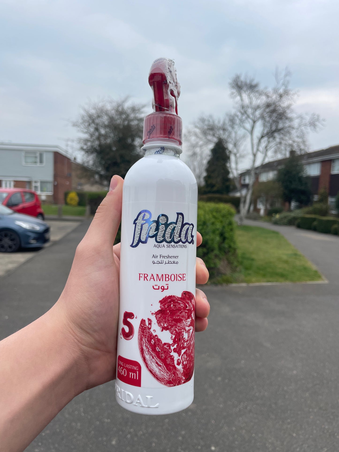 Frida- Framboise Air freshener 460 ml